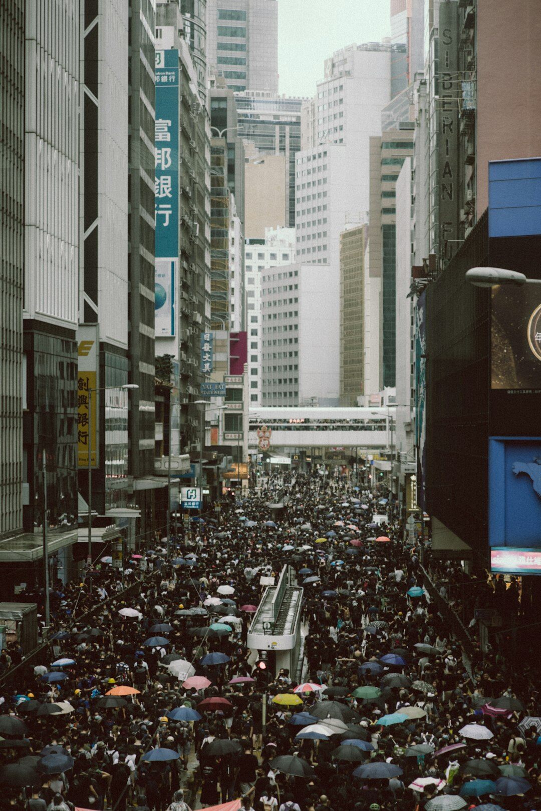 protest crowd in city